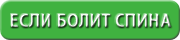 Тренажер Горбунок